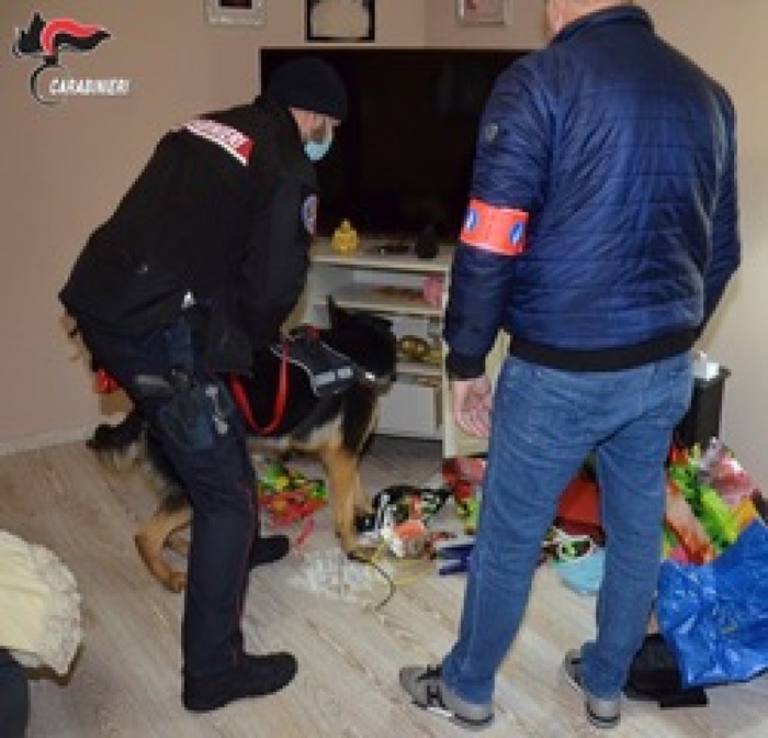 Pesaro – Droga tra Belgio-Italia, sequestrati 14 kg cocaina e 2 arresti