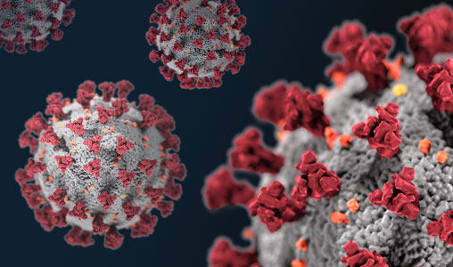 Coronavirus – Altri sette decessi nelle Marche
