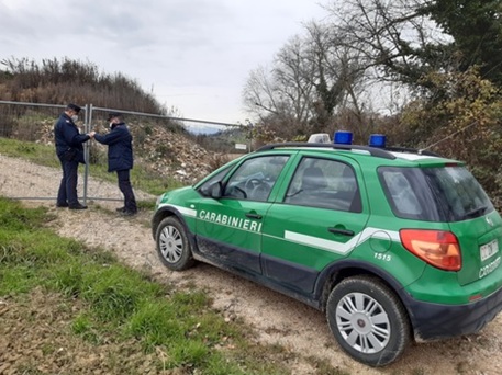 Taglia a raso un bosco di alto fusto, i Carabinieri Forestali denunciano un uomo a Venarotta