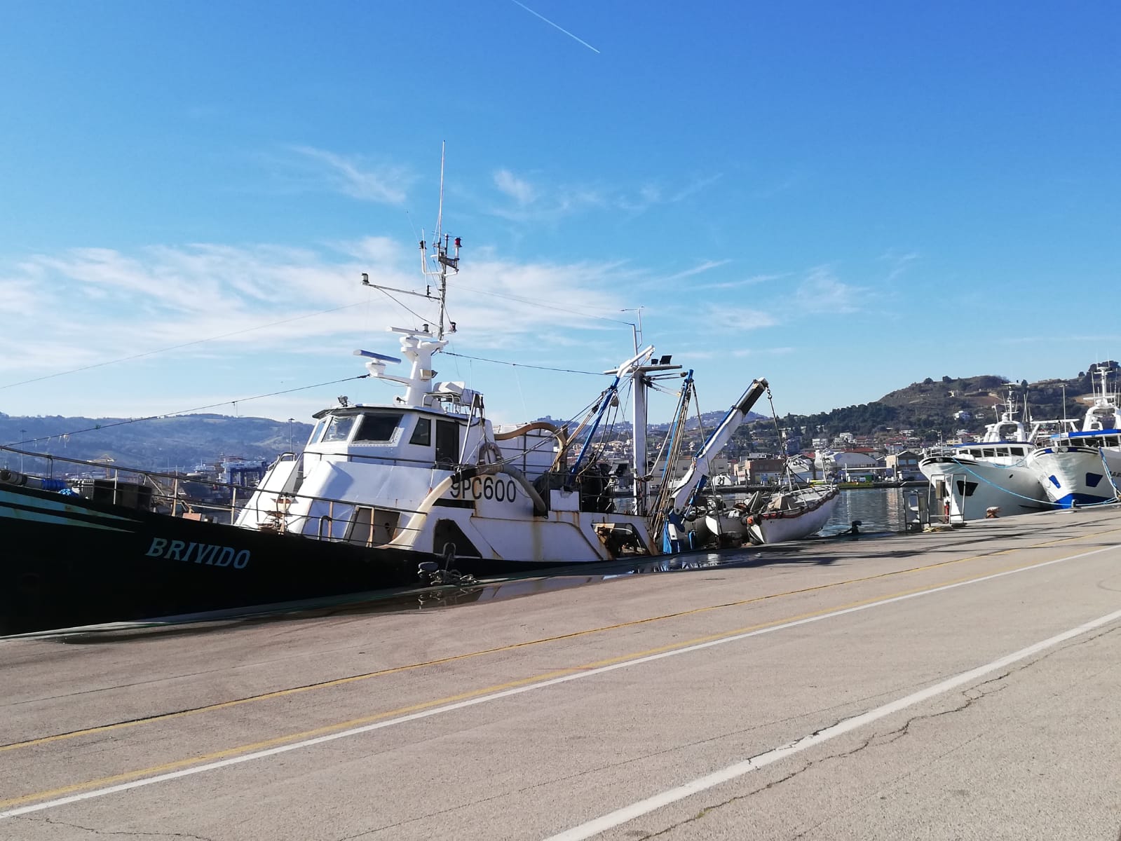 Colpo al porto di San Benedetto, ladri in due imbarcazioni