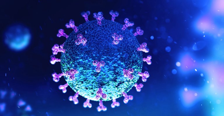 Coronavirus – Domenica con 15 positivi nelle Marche