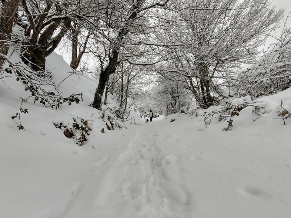 Maltempo – Scuole chiuse per neve nell’alto maceratese