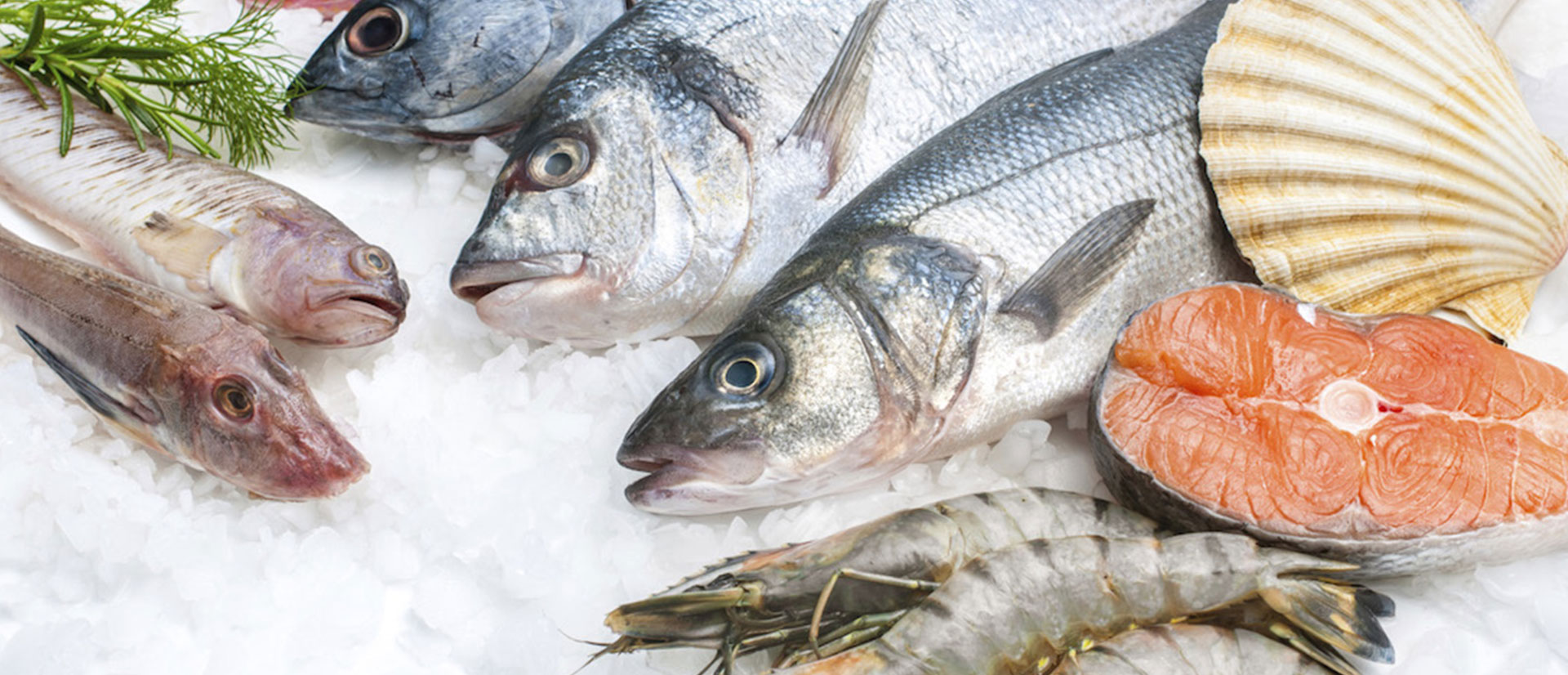 Pescara: prodotti ittici non in regola, sequestrata più di una tonnellata e mezza di merce
