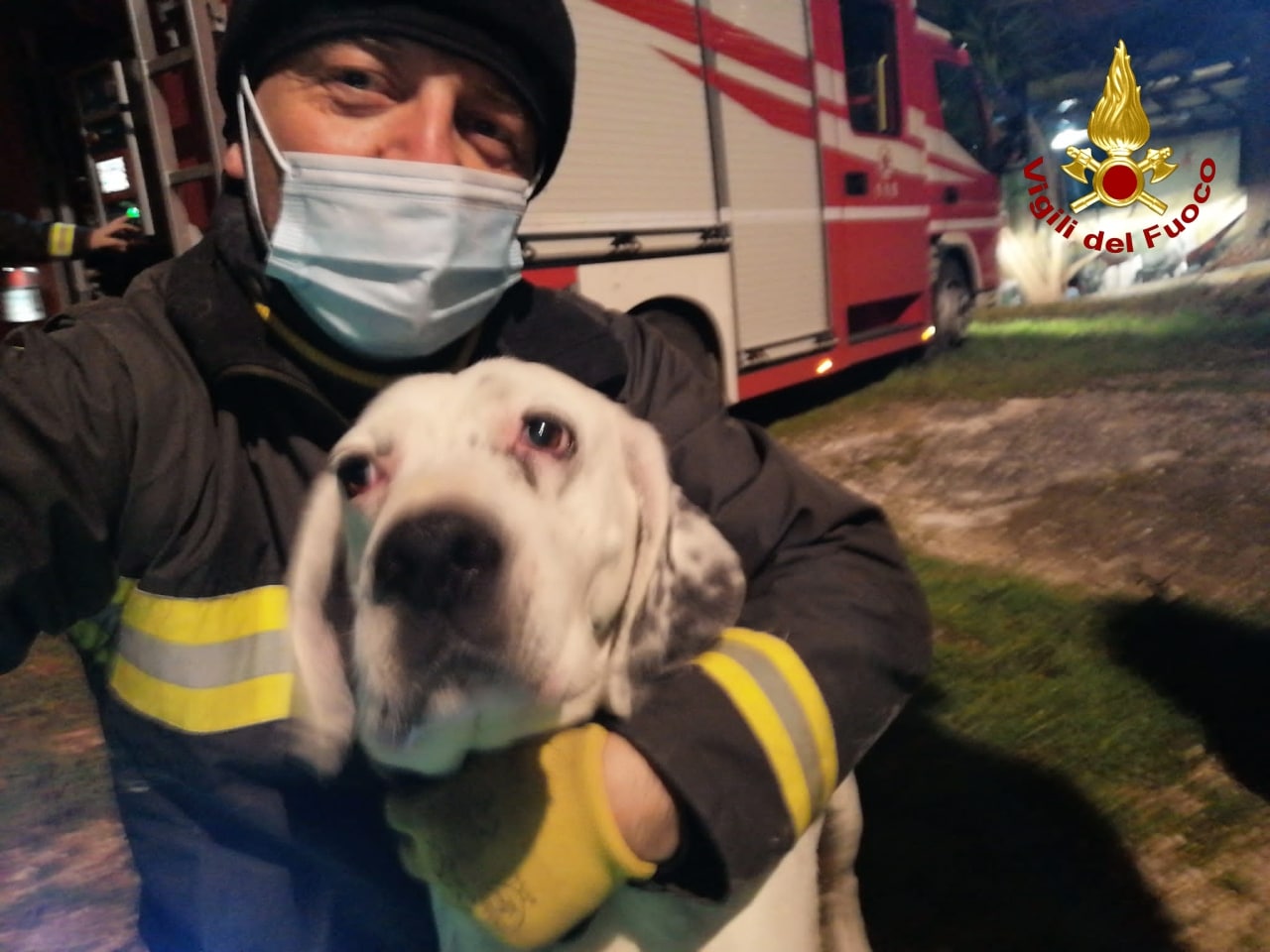 Cane salvato dai Vigili del Fuoco ad Ancona