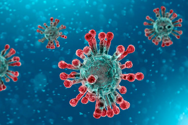 Report Coronavirus: 85 nuovi positivi e 40 guariti