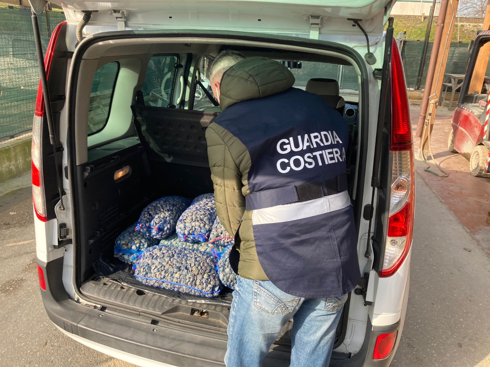 Cupra Marittima – Multa da 1.500 euro per 130 kg di vongole illegali nascoste in un furgone