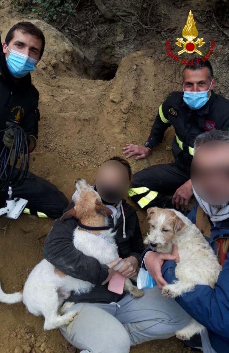 Pesaro – I vigili del fuoco salvano due cani