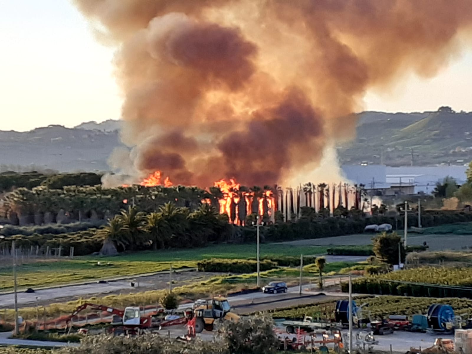 Martinsicuro – Quinto incendio in un mese, c’è la mano del piromane