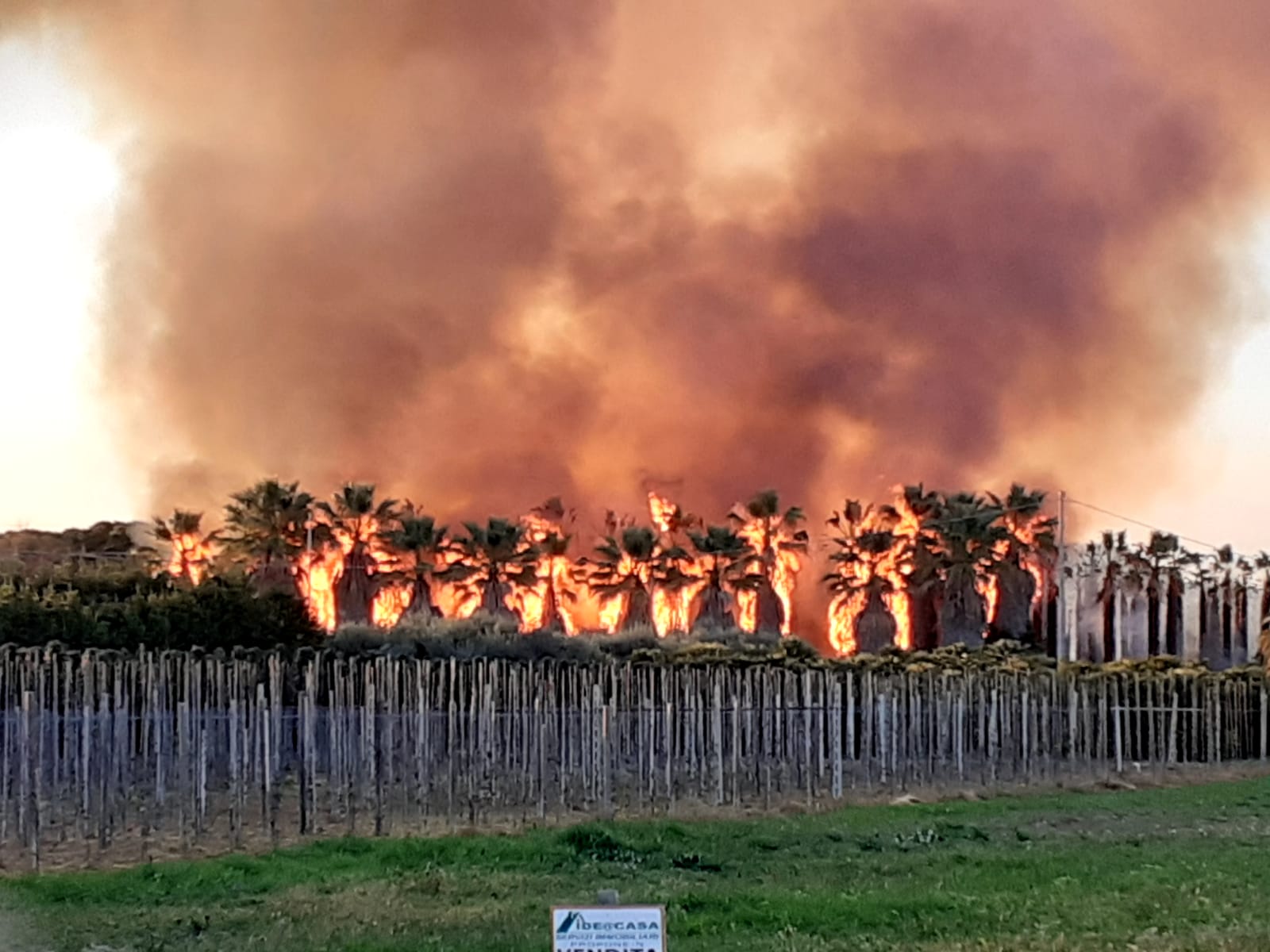Porto d’Ascoli – Incendio sugli argini del Tronto, alta colonna di fumo