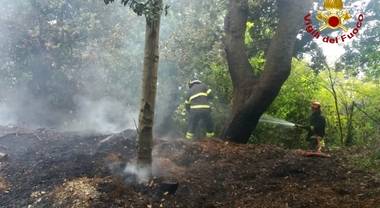 Incendi: tre intossicati nell’incendio al bosco, due sono carabinieri