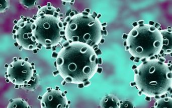 Coronavirus – Marche, nessun decesso nelle ultime 24 ore
