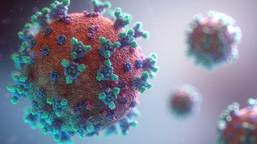 Coronavirus Abruzzo, 16 casi ma sale il tasso di positività