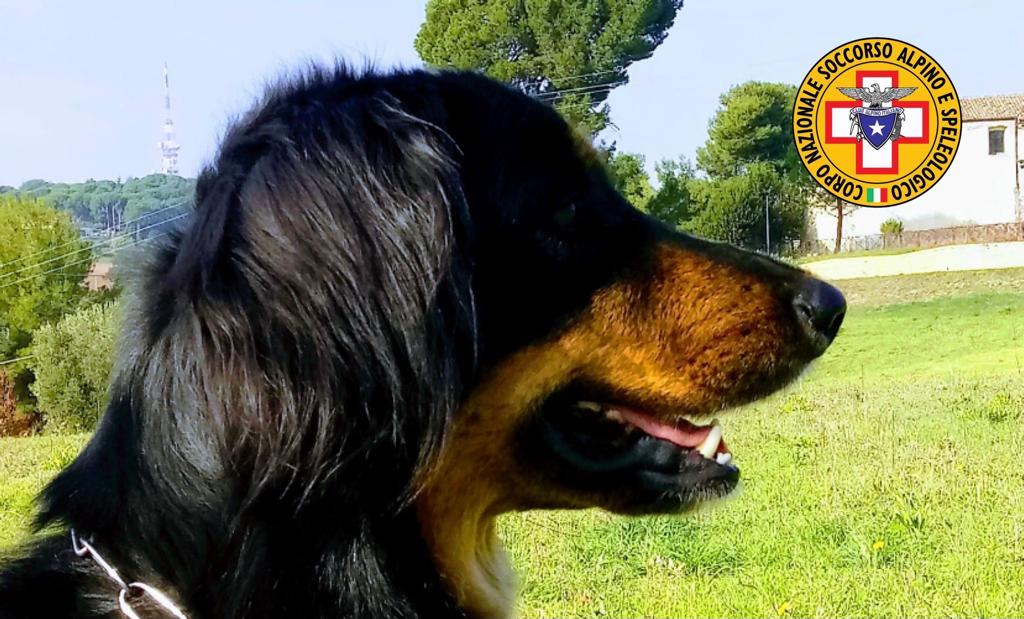 47enne anni disperso in Calabria: il soccorso alpino e speleologico d’Abruzzo invia il cane molecolare per le ricerche