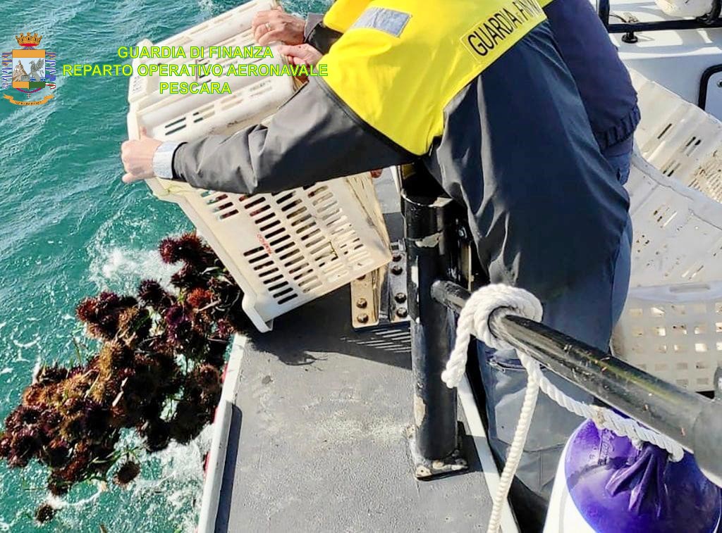 Guardia di Finanza e Guardia Costiera sequestrano oltre 6mila ricci di mare