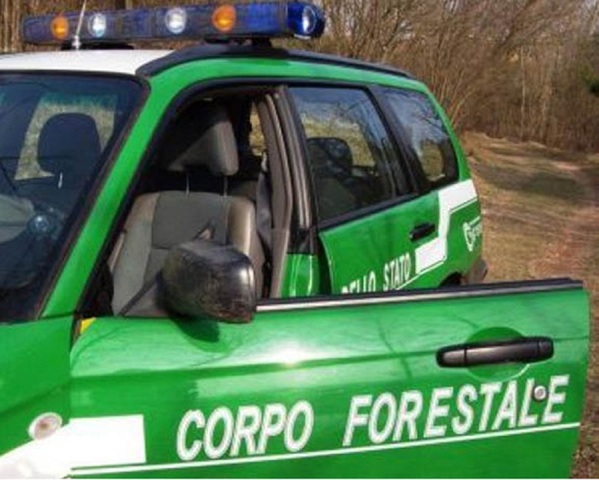 Impiccato un cane e gatto preso di mira con un dardo: indagano i Carabinieri Forestali di Teramo