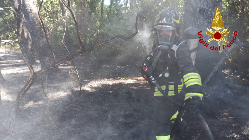 Pescara: incendio alla pineta, i vigili hanno domato le fiamme