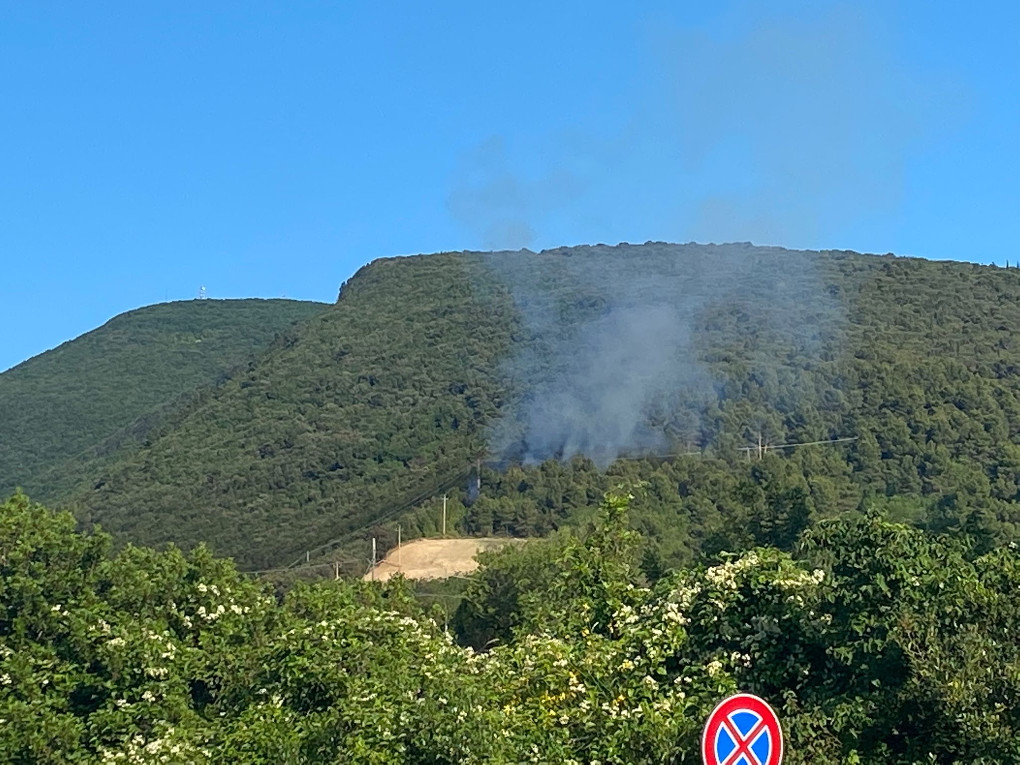 Incendio di sterpi nel bosco di Portonovo