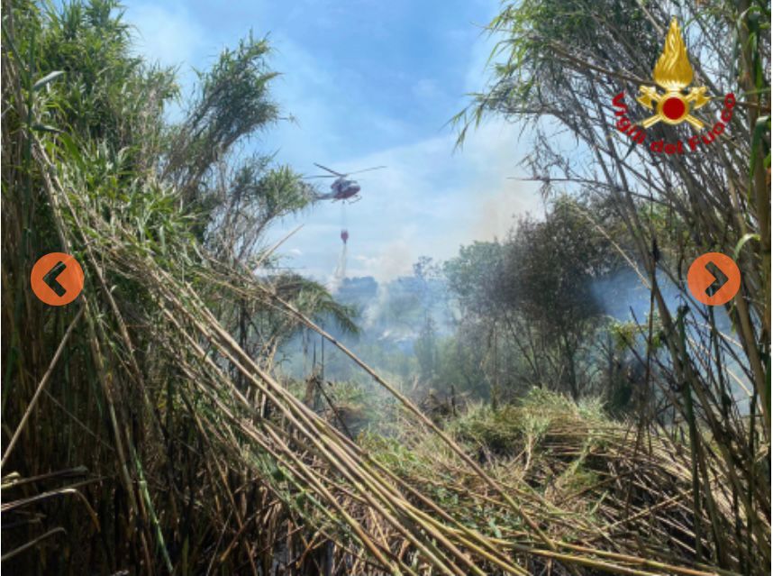 Città Sant’Angelo: incendio di vegetazione, i Vigili del Fuoco impegnati nelle operazioni di spegnimento