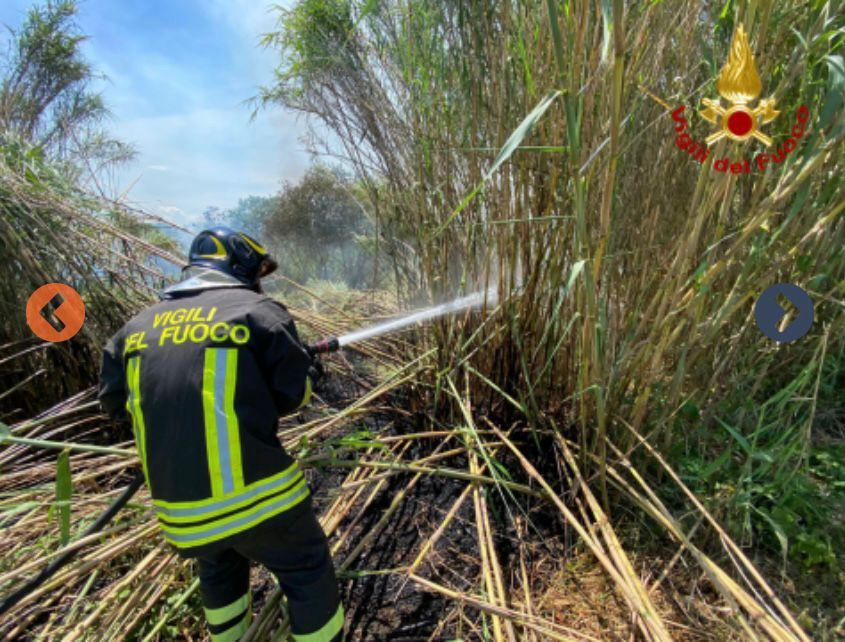 Città Sant’Angelo: incendio di vegetazione, Vigili del Fuoco impegnati nelle operazioni di spegnimento