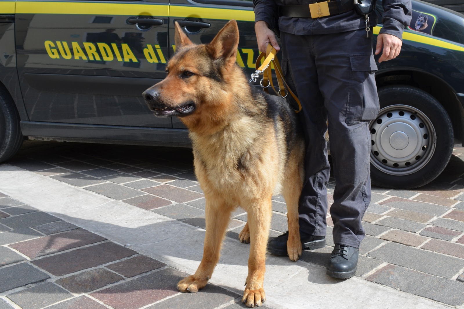 Pescara – Fermato con mezzo chilo di cocaina, arrestato un albanese