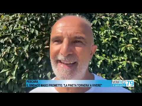 Pescara – Nominato un pool di esperti per far tornare a vivere la pineta