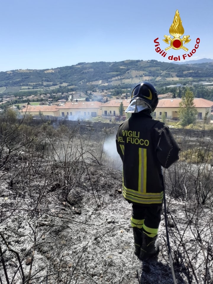 Vasto incendio di vegetazione a Castelplanio