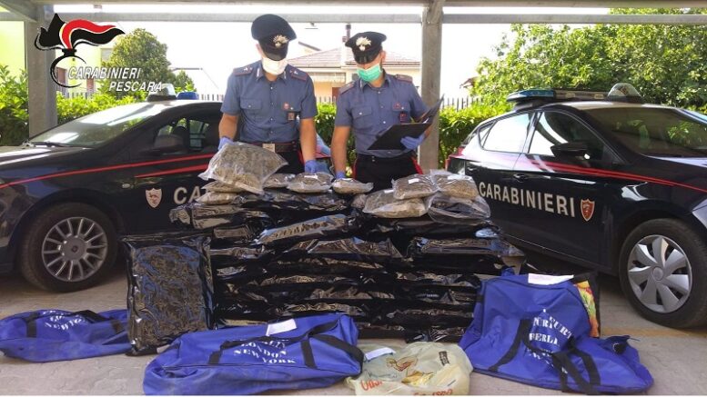Montesilvano – I carabinieri sequestrano 53 kg di marijuana, arrestata una donna.
