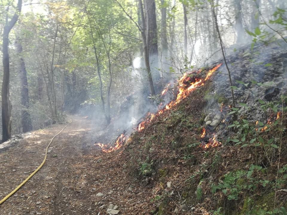 Incendio in Val Pescara: in fiamme una zona boschiva