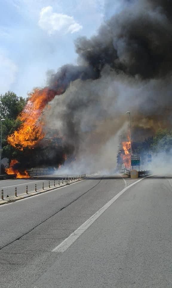Pescara, vasto incendio a villaggio Alcyone, si teme il dolo