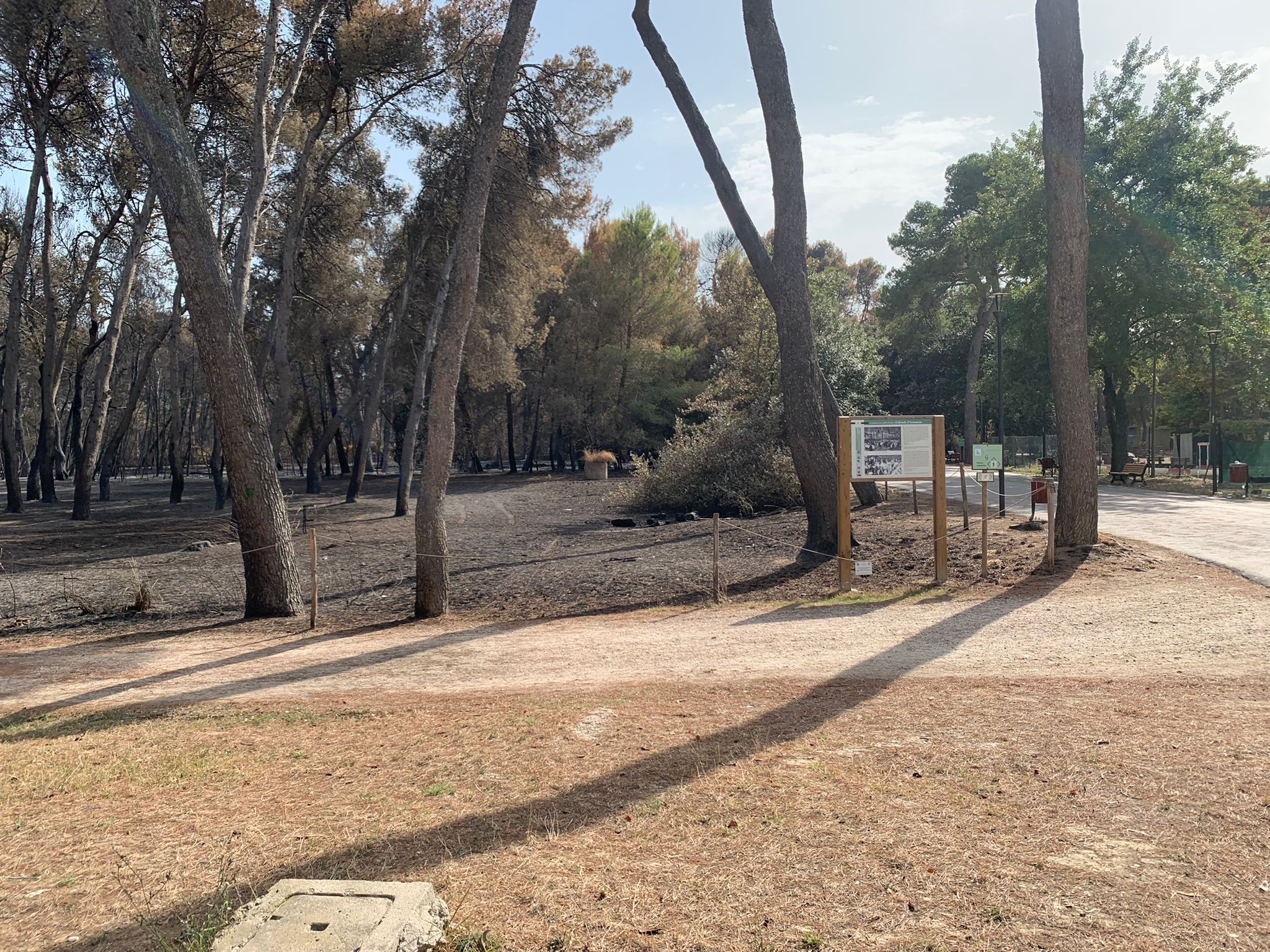 Pescara: emergenza incendi, il prefetto invita i sindaci ad adottare misure di prevenzione a Ferragosto