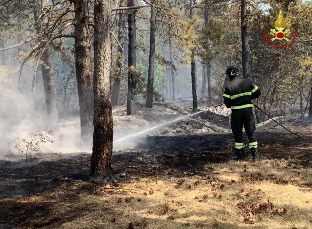 Piromane Macerata: preso l’autore di una decina di incendi è un ex volontario dei vigili del fuoco