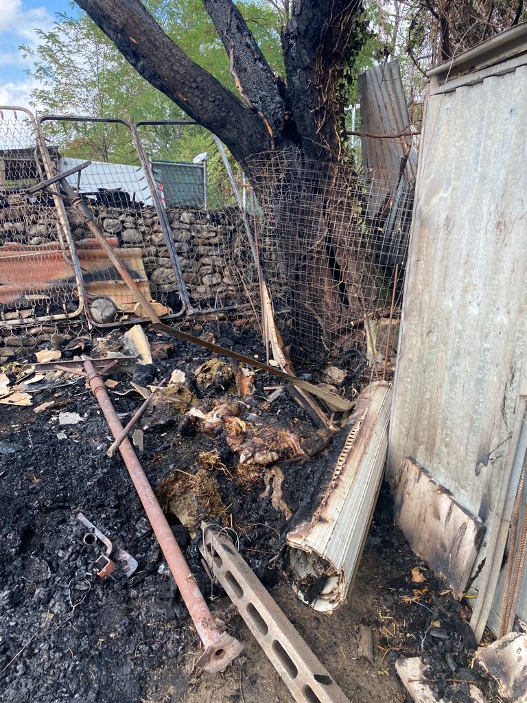 Teramo – Piromane incendia un orto nella zona di Carapollo. Muoiono 6 capre