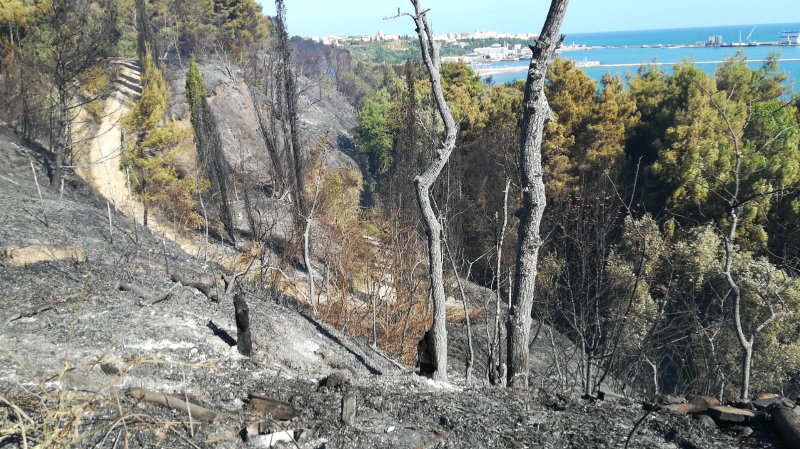 Roghi in Abruzzo, il wwf: “si ripensino prevenzione e gestione degli incendi”