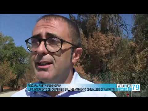 Pescara, pineta dannunziana – Il Pd: intervento dei carabinieri sull’abbattimento degli alberi