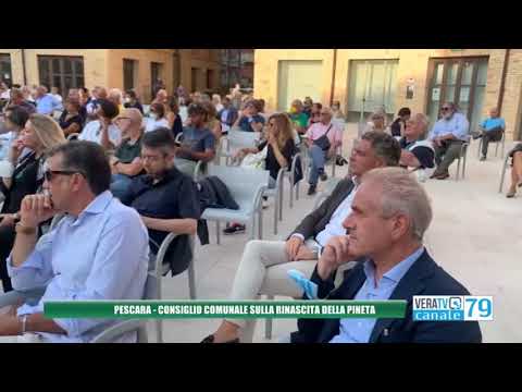 Pescara – Consiglio comunale straordinario per il rilancio della pineta distrutta dai roghi