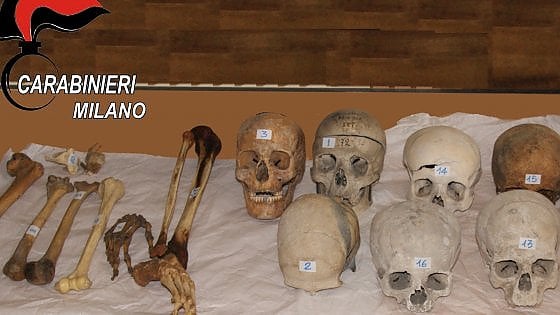 Traffico di ossa umane tra Lombardia, Abruzzo e Praga