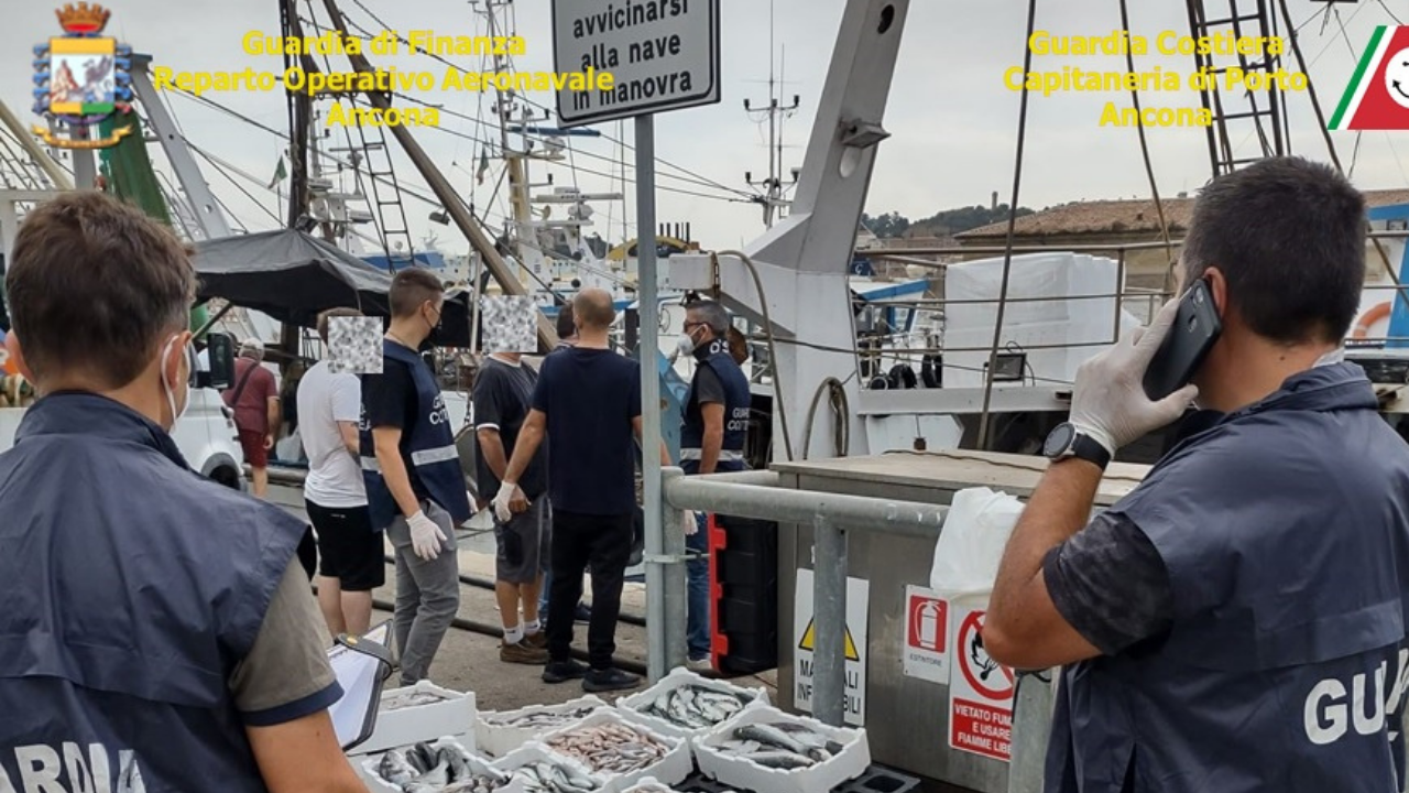 Ancona – Operazione “Pescato Sicuro”: sequestrati 215 kg di pesce, multe per oltre 5mila euro