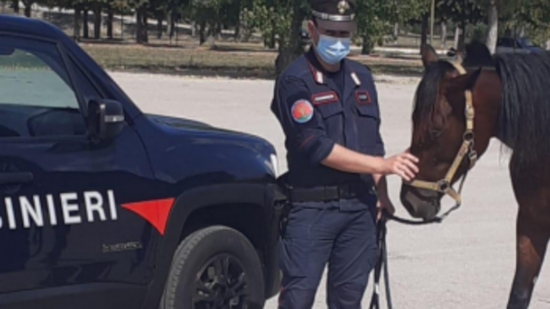 Falsificava documenti e così vendeva cavalli non suoi: arrestato allevatore di Montegiorgio