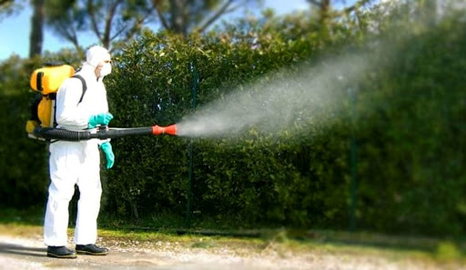 Monteprandone – Lotta alle zanzare, disinfestazione su tutto il territorio comunale