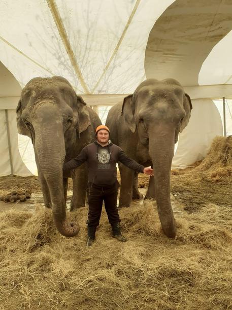 Il Circo resta bloccato da un anno a Fabriano, morto oggi un elefante