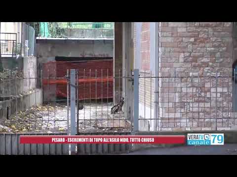 Pesaro – Asilo chiuso da una settimana per escrementi di topo