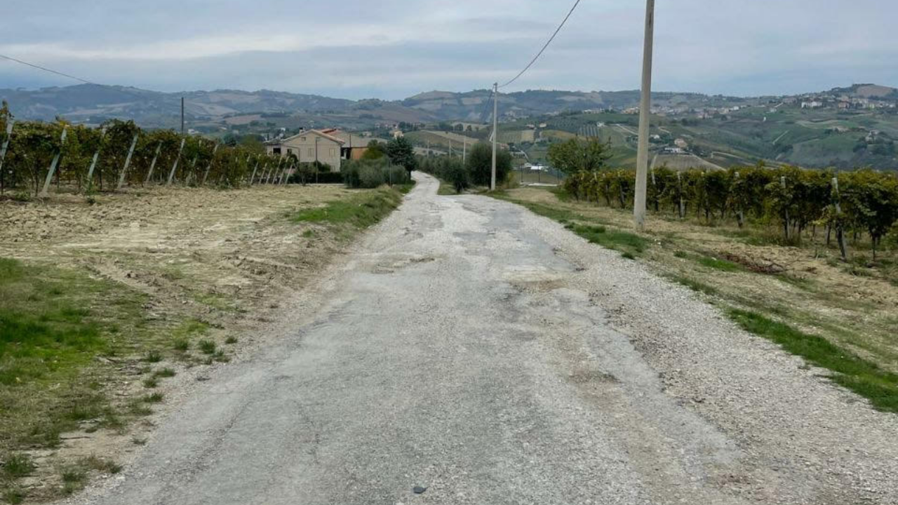 Grifola, la strada comunale è più sicura: investimento di 140 mila euro