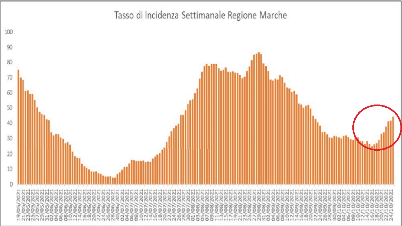 Covid Marche: 103 i nuovi positivi, due vittime nell’Anconetano. In crescita il tasso di incidenza