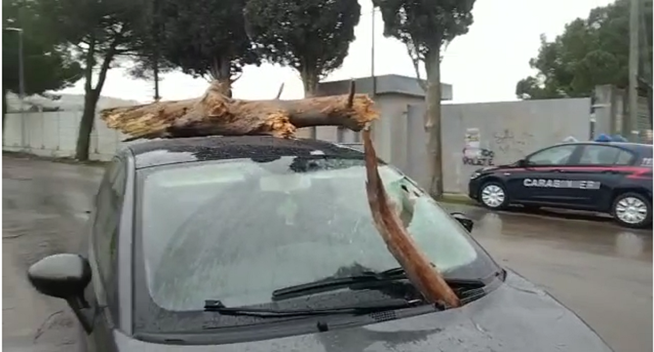 Vento forte, albero cade su una Fiat 500 in transito. Tanti gli interventi dei Vigili del Fuoco nel Teramano