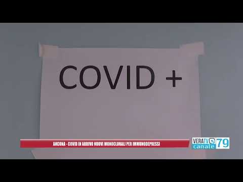 Ancona – Covid, in arrivo nuovi monoclonali per immunodepressi