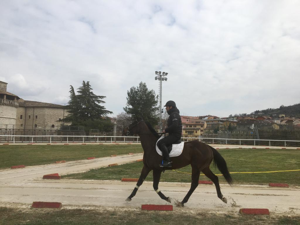 Quintana di Ascoli – Prime prove ufficiali al campo: tanti nuovi cavalli a disposizione dei cavalieri