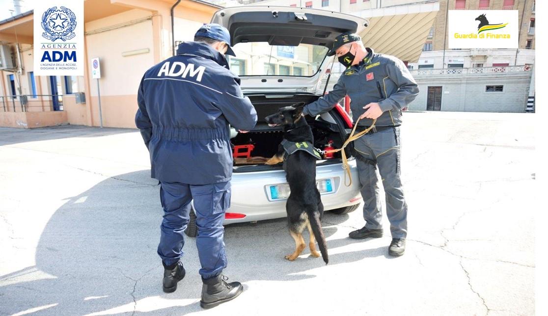 Trenta mila euro occultati in un’auto sbarcata da una nave di linea