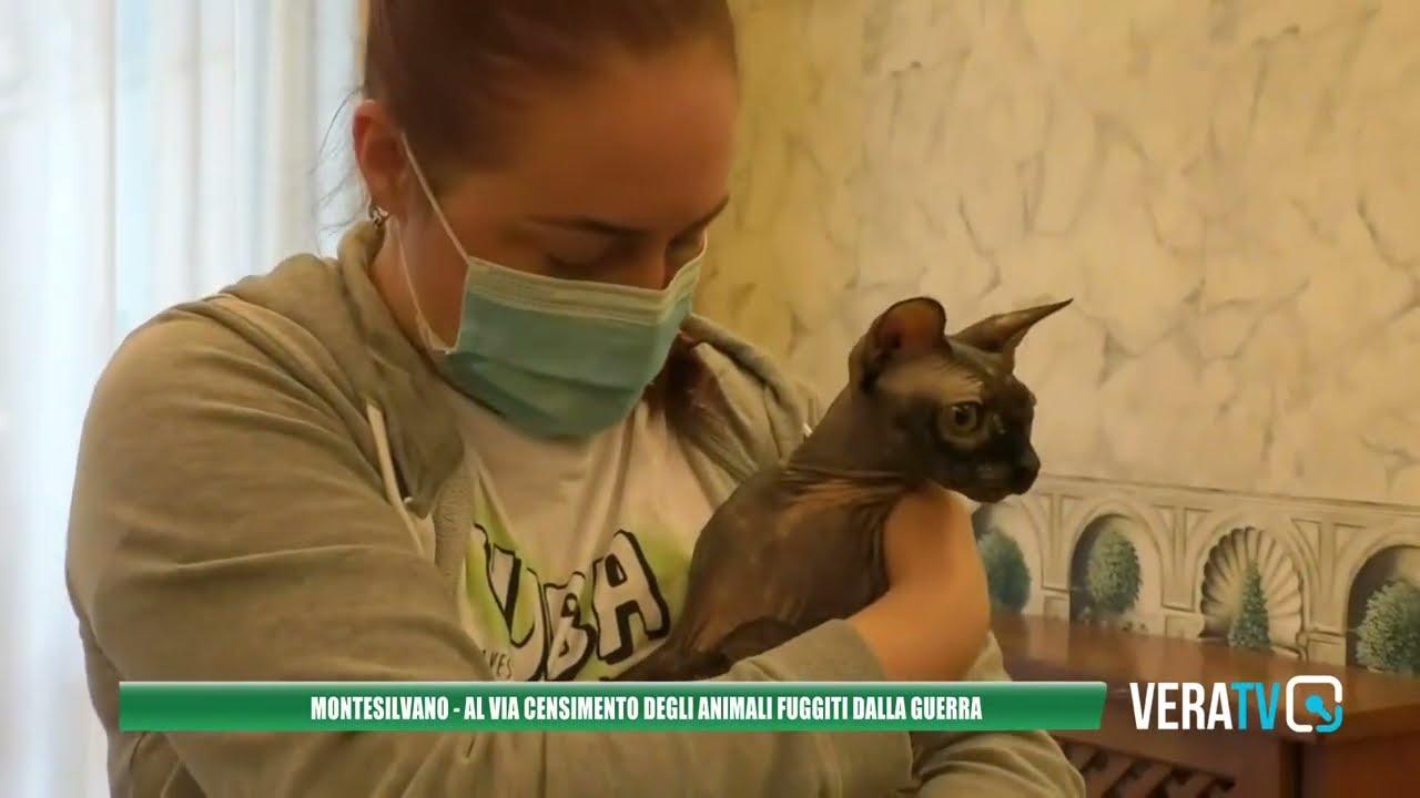 Montesilvano – Prima giornata dedicata agli animali domestici fuggiti dalla guerra