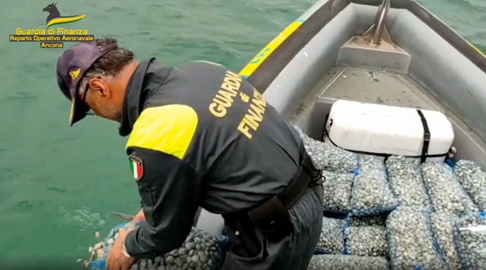 Ancona – Sequestrati 460 chili di vongole senza tracciabilità