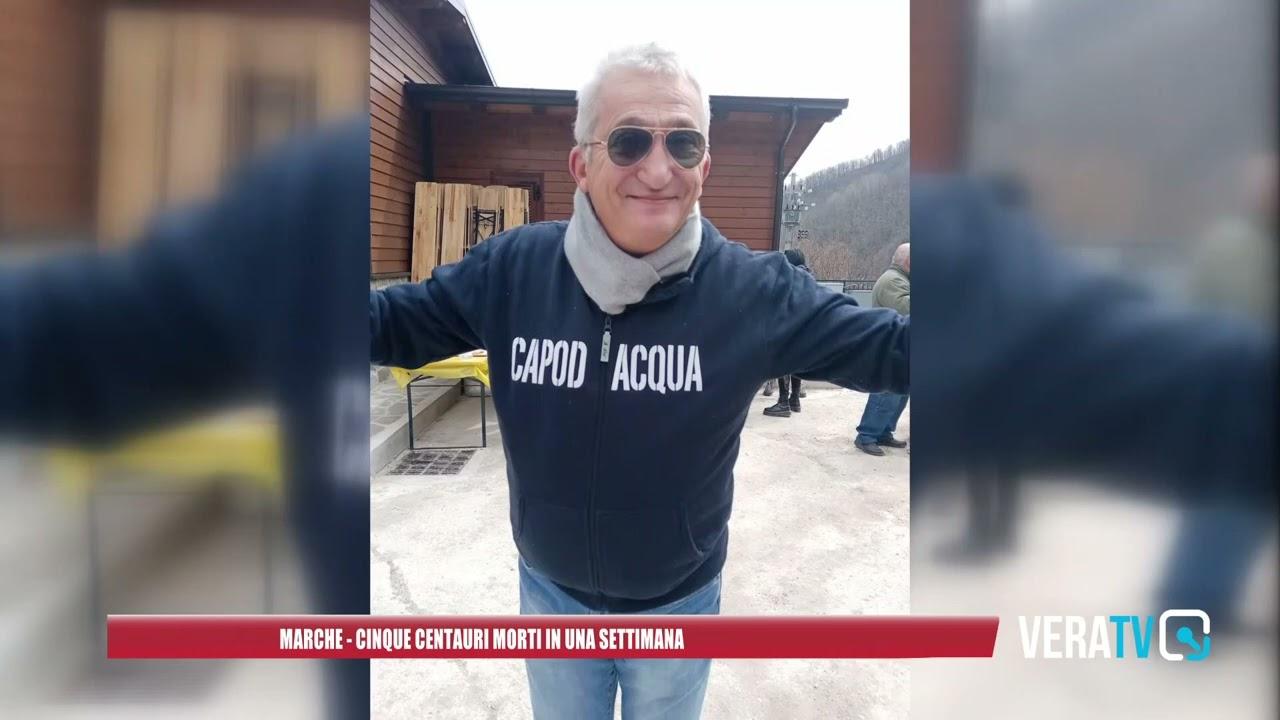 Senigallia piange il 18enne Luca Bergamaschi, è il quinto centauro morto in una settimana